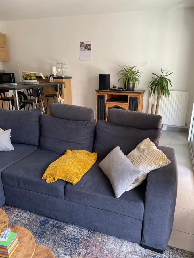 Appartement Avec Terrasse Proche De Rennes Saint-Jacques-de-la-Lande Ngoại thất bức ảnh