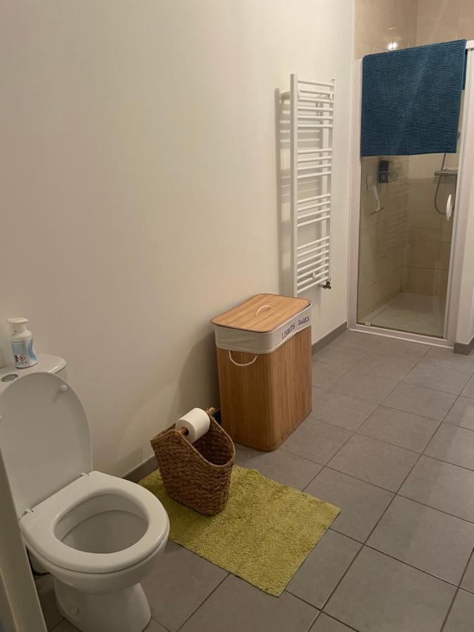 Appartement Avec Terrasse Proche De Rennes Saint-Jacques-de-la-Lande Ngoại thất bức ảnh
